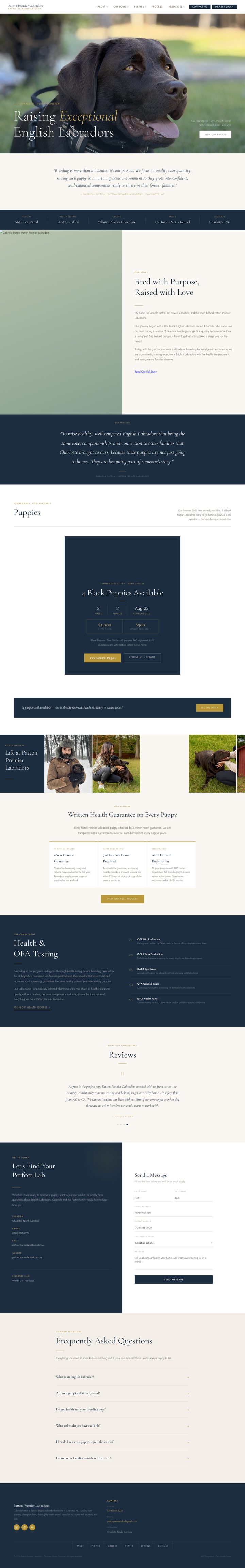 Full-page view of the Patton Premier Labradors website